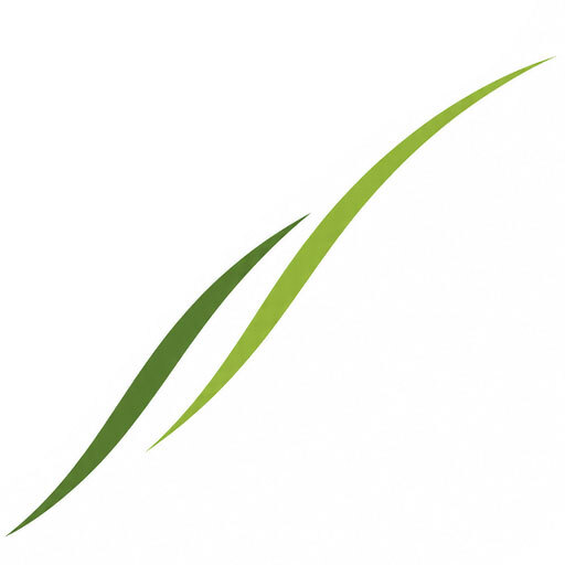 Logo du site